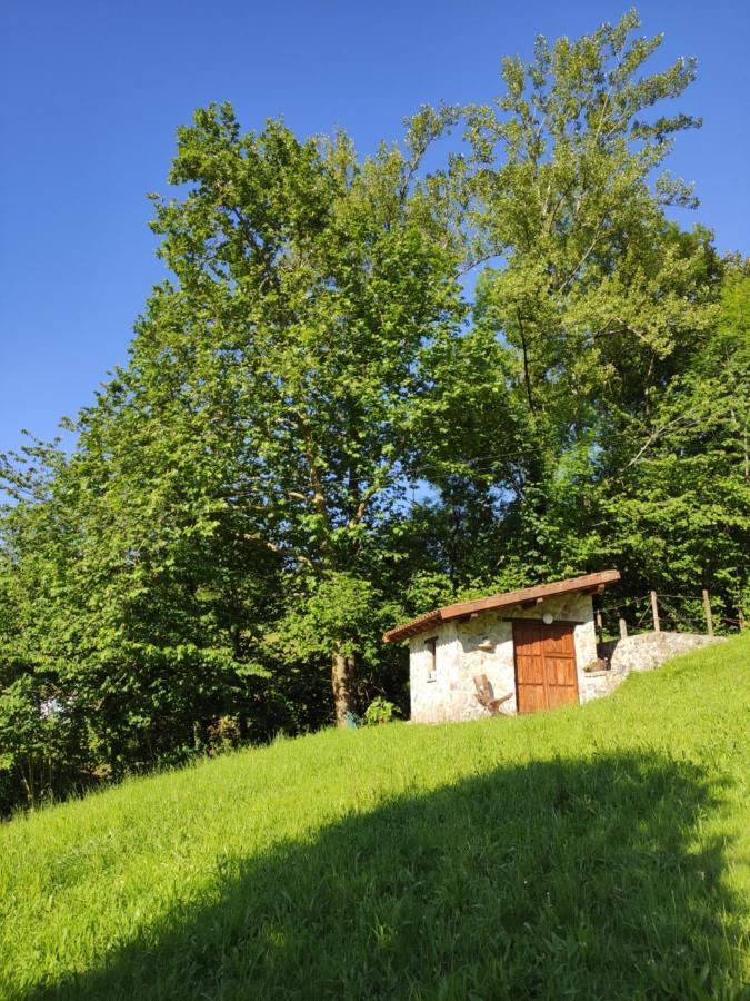 Apartamentos Rurales La Caviana Onís المظهر الخارجي الصورة