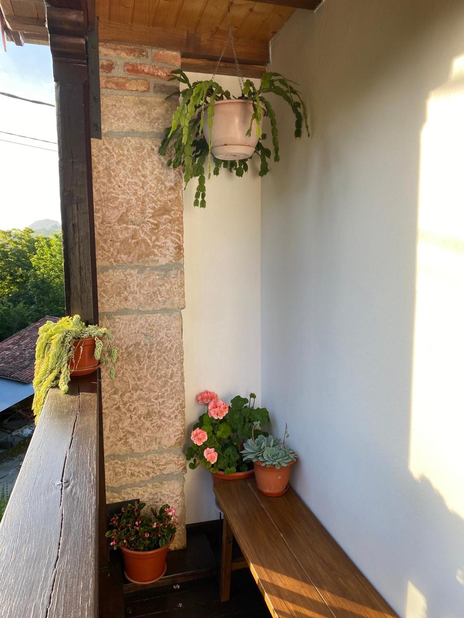 Apartamentos Rurales La Caviana Onís المظهر الخارجي الصورة