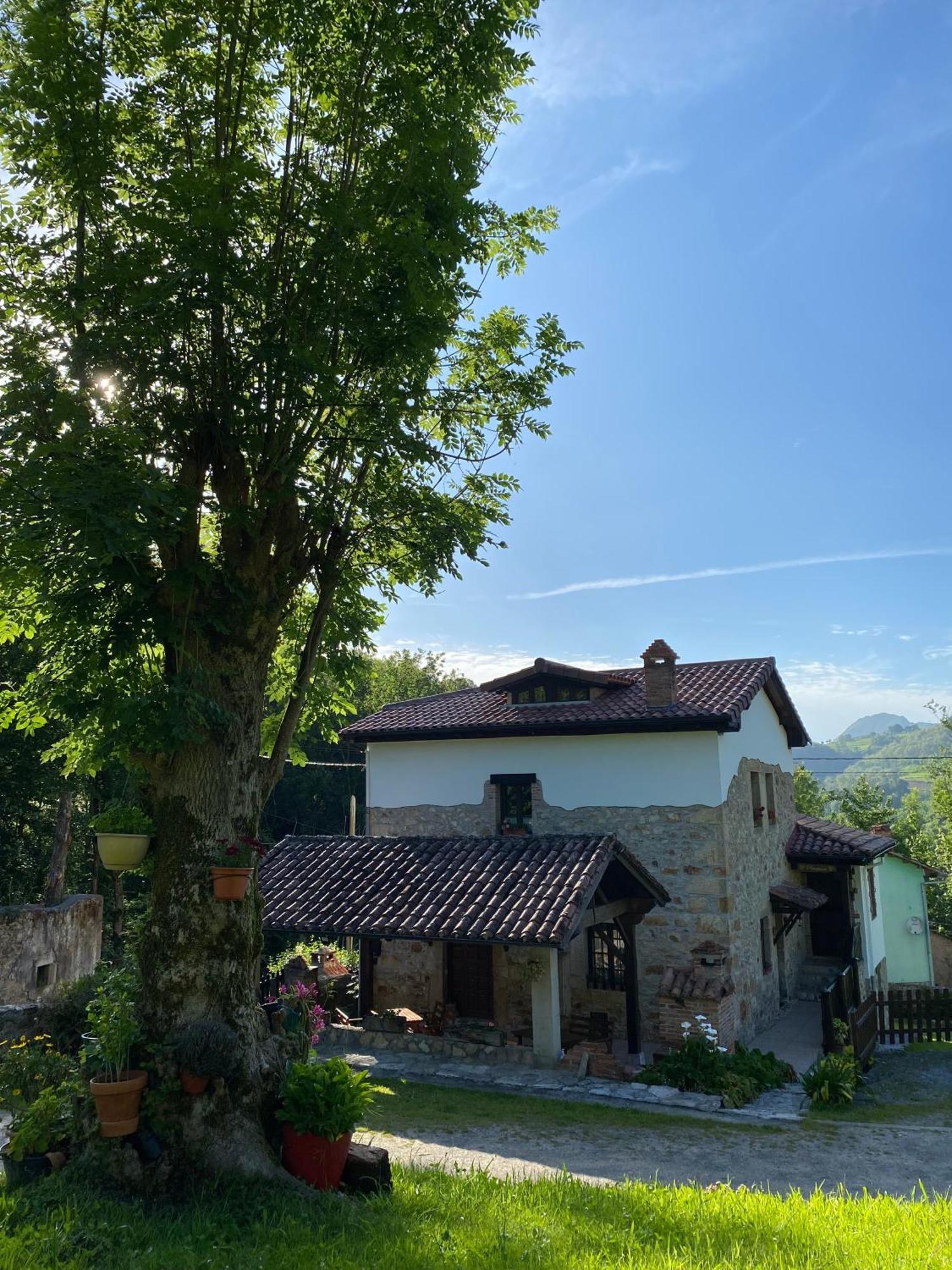 Apartamentos Rurales La Caviana Onís المظهر الخارجي الصورة